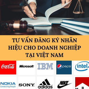 Tư vấn đăng ký nhãn hiệu cho doanh nghiệp tại Việt Nam